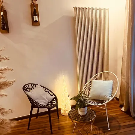 Apartment Le Balcon Des Cordeliers - Homillesime Dijon