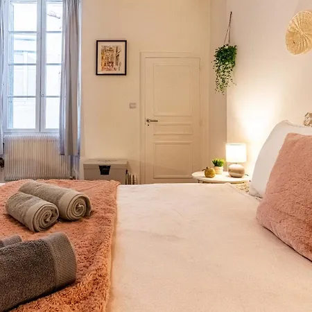 Le Balcon Des Cordeliers - Homillesime Apartment Dijon