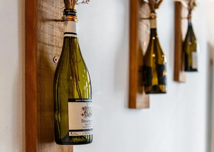 Le Balcon Des Cordeliers - Homillesime Apartment